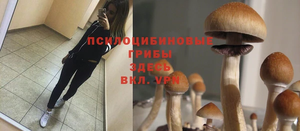 шишки Нефтекумск