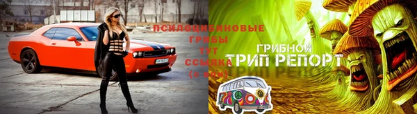 ECSTASY Нефтегорск