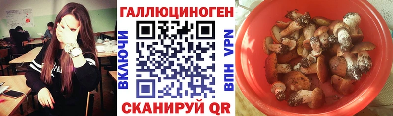 Псилоцибиновые грибы мицелий  Опочка 