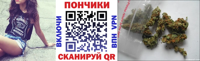 Шишки марихуана Amnesia  Опочка 